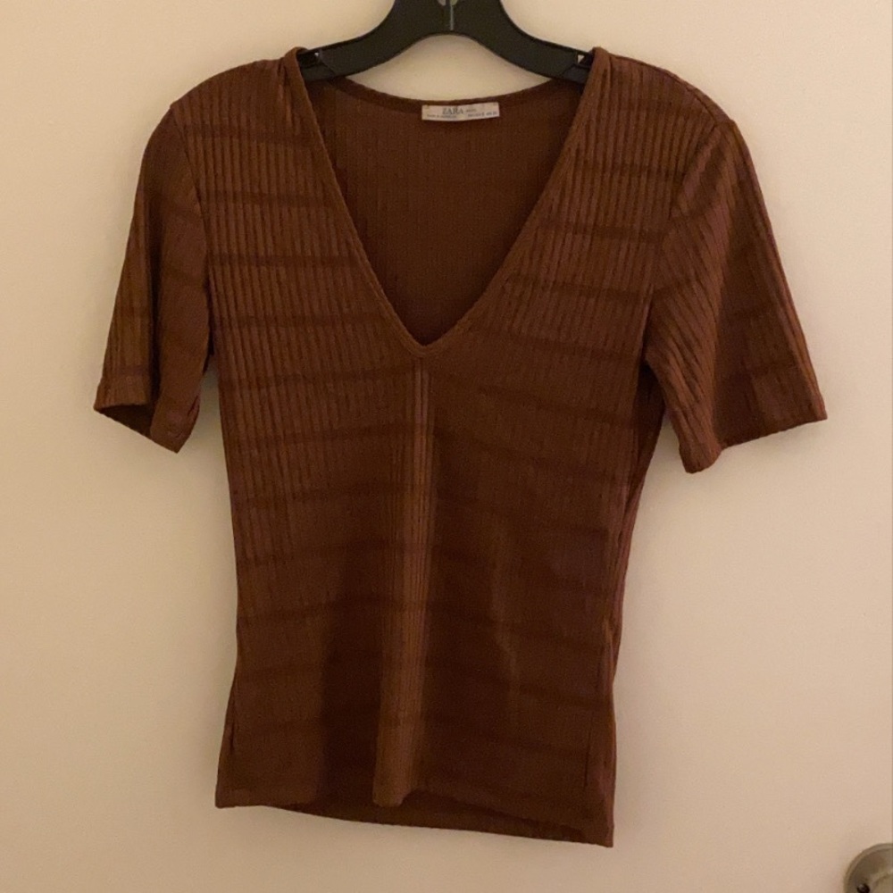 Brown Zara Top
